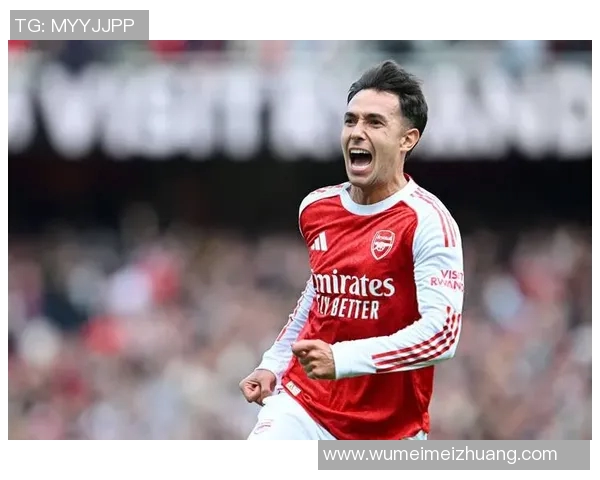 裁判承认误判致阿森纳进球无效赛后致歉引发热议