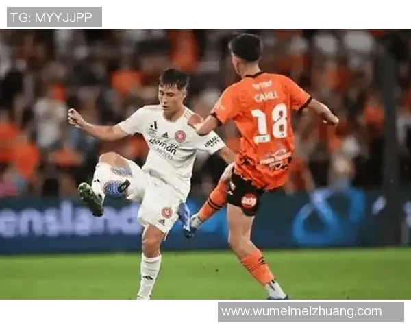 惠灵顿与布里斯班吼的精彩对决分析与赛季展望