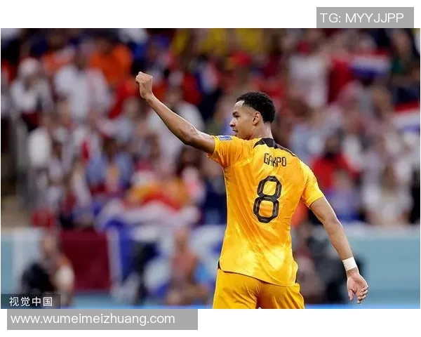 加克波：从天才少年到足球场上的闪耀明星之路