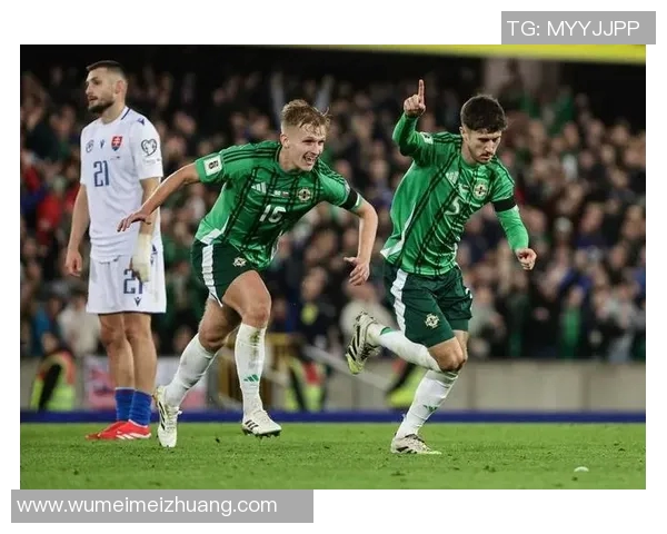 德国与北爱尔兰精彩对决录像回放分析及比赛亮点总结