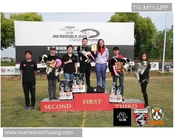 杭州飞盘队在攀岩联赛中的默契配合与战术分析MBA