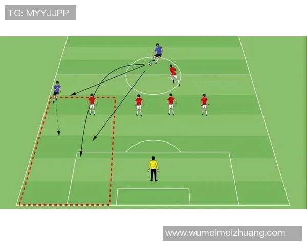 深入解析北京篮球队战术表现的关键数据与趋势分析