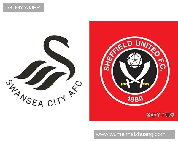 若维奇对决斯旺西精彩赛事回顾与分析展望