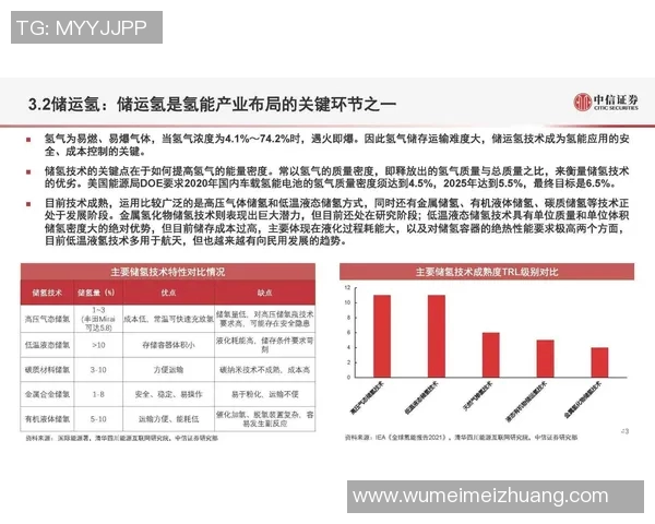 武汉篮球队技术分析与战术创新的深度探讨与展望