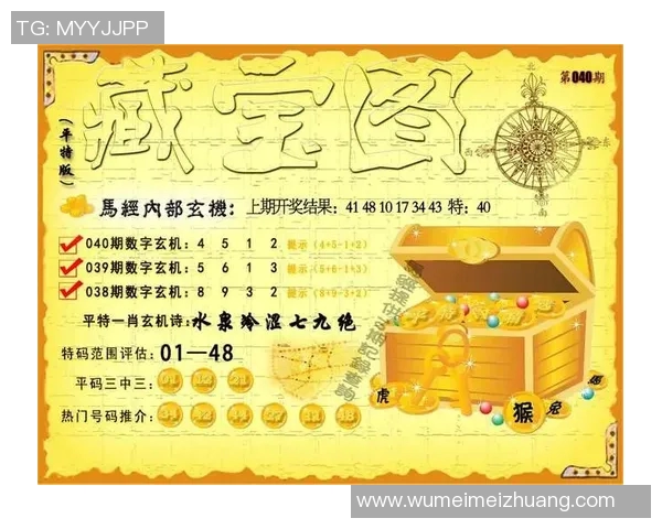 澳门一肖一码一必中一肖雷锋带你探索幸运与智慧的完美结合之旅